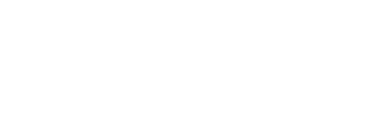 Stronghold Inspection White Outline Icon